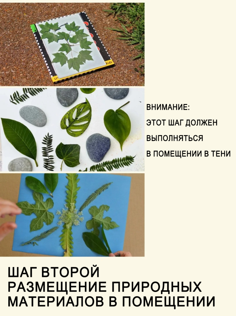 太阳印刷自然艺术3